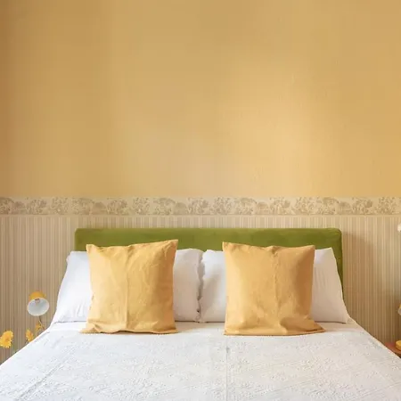 Apartment Dreamer House